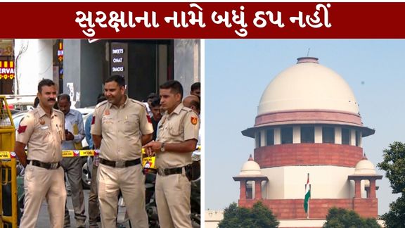 દિલ્હીમાં 10 ઓક્ટોબર 2026ના રોજ યોજાનારા કોકરોચ જનતા પાર્ટી (CJP)ના વિરોધ પ્રદર્શન પહેલાં સુરક્ષાનાં પગલાંને લઈને સુપ્રીમ કોર્ટે (Supreme Court)ચિંતા વ્યક્ત કરી છે.