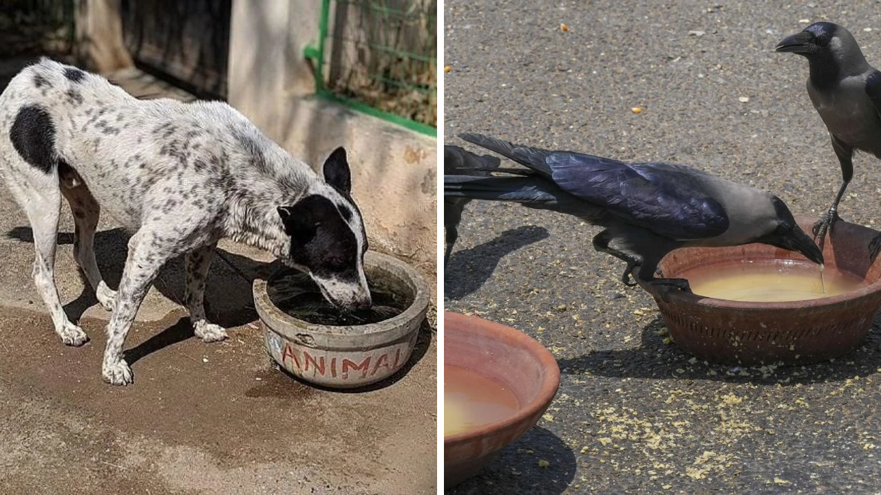 Extreme Heat in Gujarat: ગરમીનો કહેર ઓક્ટોબરમાં જ પારો 40°C પાર!