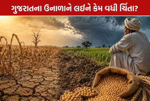 Gujarat Rain Shortage: વરસાદની 10% ઘટ, 206માંથી માત્ર 33 ડેમ ભરાયા; Summer માટે Critical Warning