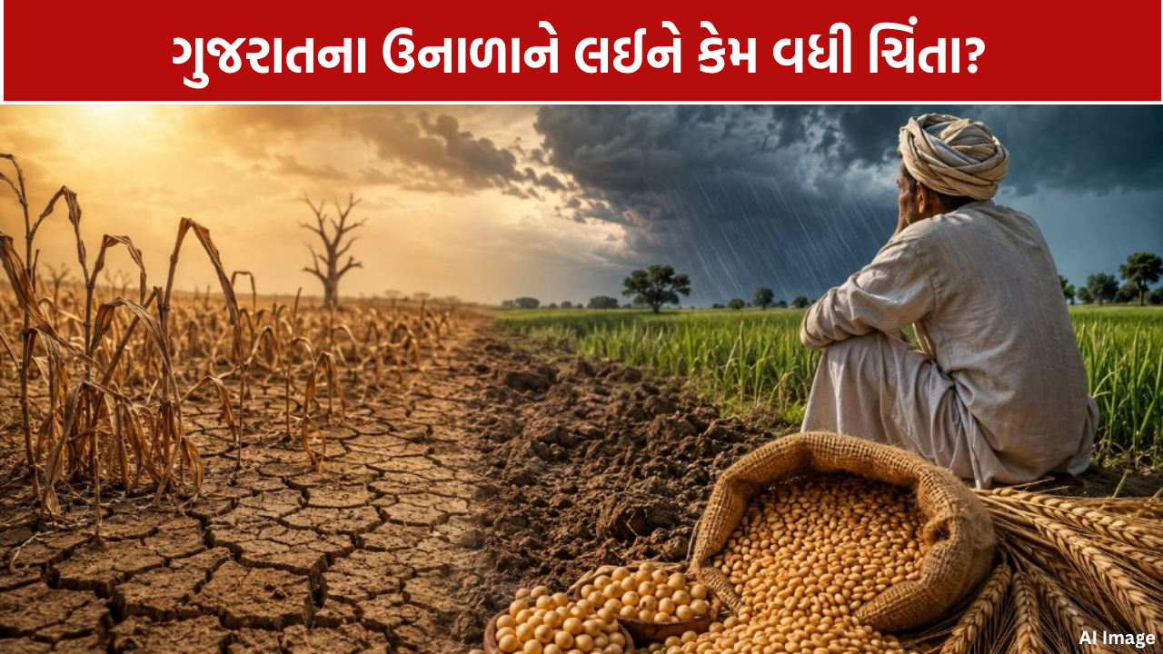 Gujarat Rain Shortage: વરસાદની 10% ઘટ, 206માંથી માત્ર 33 ડેમ ભરાયા; Summer માટે Critical Warning
