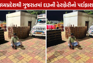 Dahod Liquor Seized: 3,120 બોટલ-બીયરના ટીન સાથે એક આરોપી ઝડપાયો