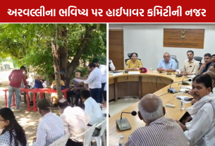 Aravalli High Power Committee: ખાણકામની સ્થિતિ જોઈ, રજૂઆતો સાંભળી
