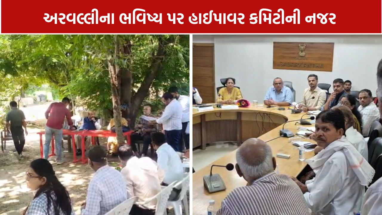 અરવલ્લી સંરક્ષણ: હાઈપાવર કમિટીએ લાલોડામાં ખાણકામ સ્થળનું નિરીક્ષણ કર્યું
