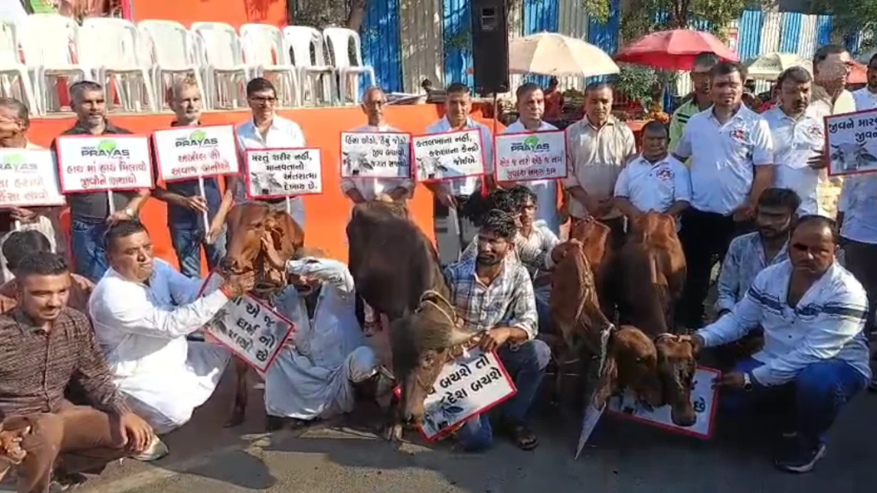 Surat Ahimsa March: 5 હજારથી વધુ લોકોની રેલી, ગૌમાતાને ‘રાષ્ટ્રમાતા’ જાહેર કરવાની માંગ