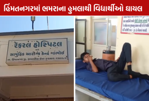 Himmatnagar Beetle attack: વનભ્રમણ દરમિયાન NSSના 20 જેટલા વિદ્યાર્થીઓને ડંખ