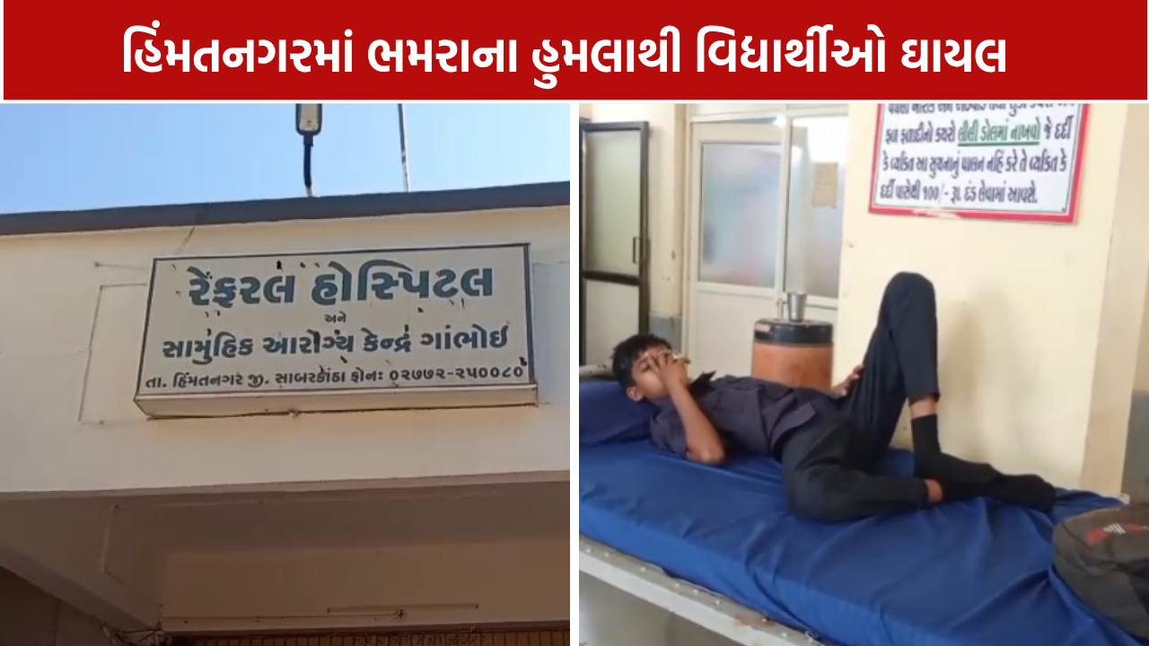 Himmatnagar Beetle attack: વનભ્રમણ દરમિયાન NSSના 20 જેટલા વિદ્યાર્થીઓને ડંખ
