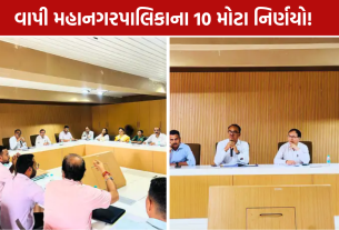 Vapi Development: દિવાળી પહેલાં રસ્તાના ખાડા પૂરાશે, ફાયર સ્ટેશન અને બે કોમ્યુનિટી હોલનું આયોજન