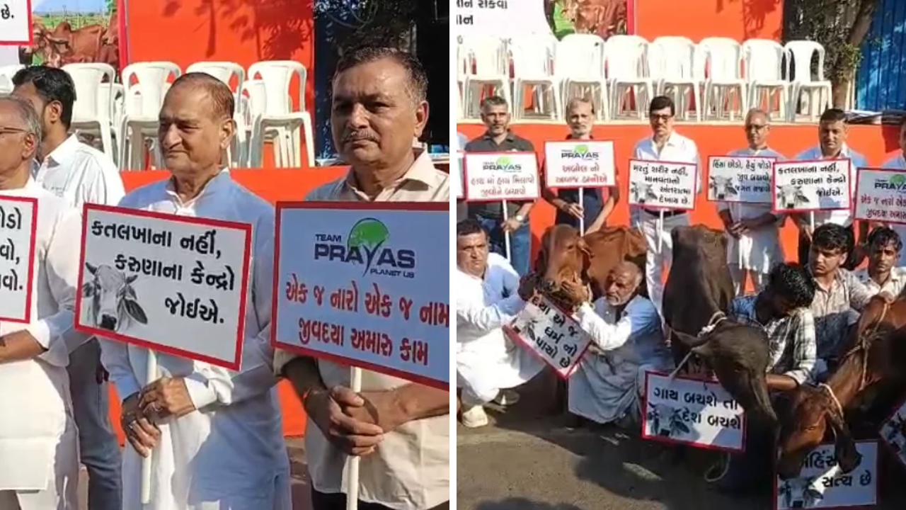 Surat Ahimsa March: 5 હજારથી વધુ લોકોની રેલી, ગૌમાતાને ‘રાષ્ટ્રમાતા’ જાહેર કરવાની માંગ