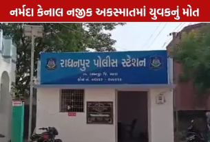Radhanpur Mehsana Highway Accident: યુવક ભરત પરમારનું મોત, ચાલક ફરાર