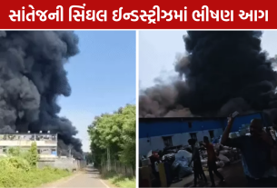 Singhal Industries Fire: ફેક્ટરીમાં ભીષણ આગ, 7 ફાયર ગાડીઓથી આગ બુઝાવવાના પ્રયાસ