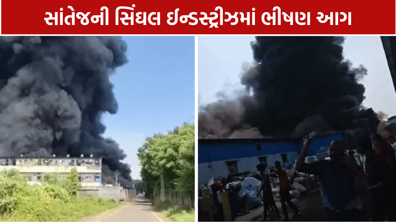 Singhal Industries Fire: ફેક્ટરીમાં ભીષણ આગ, 7 ફાયર ગાડીઓથી આગ બુઝાવવાના પ્રયાસ