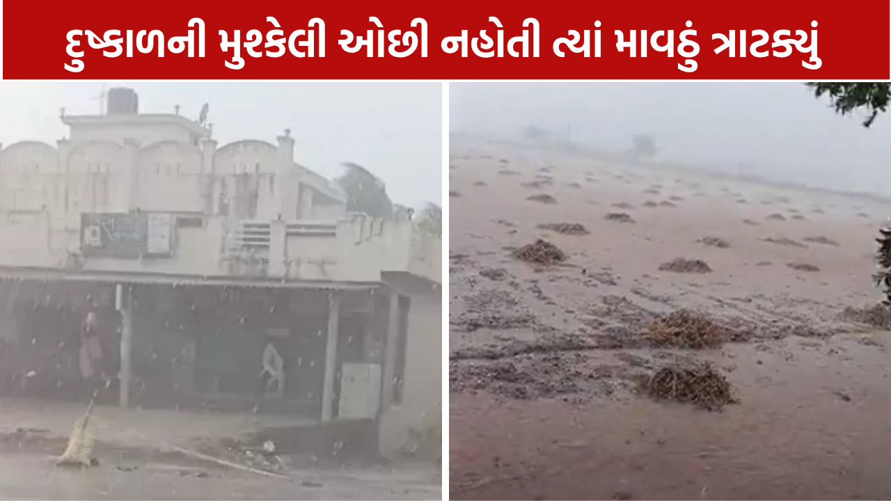 Dwarka Rain: 21 તાલુકામાં કમોસમી વરસાદ, આજે પણ દક્ષિણ ગુજરાત-સૌરાષ્ટ્રમાં આગાહી