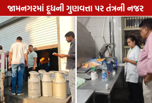 Jamnagar Milk Checking: 80 લીટર દૂધનો નાશ, 10 નમૂના લેબમાં મોકલાયા