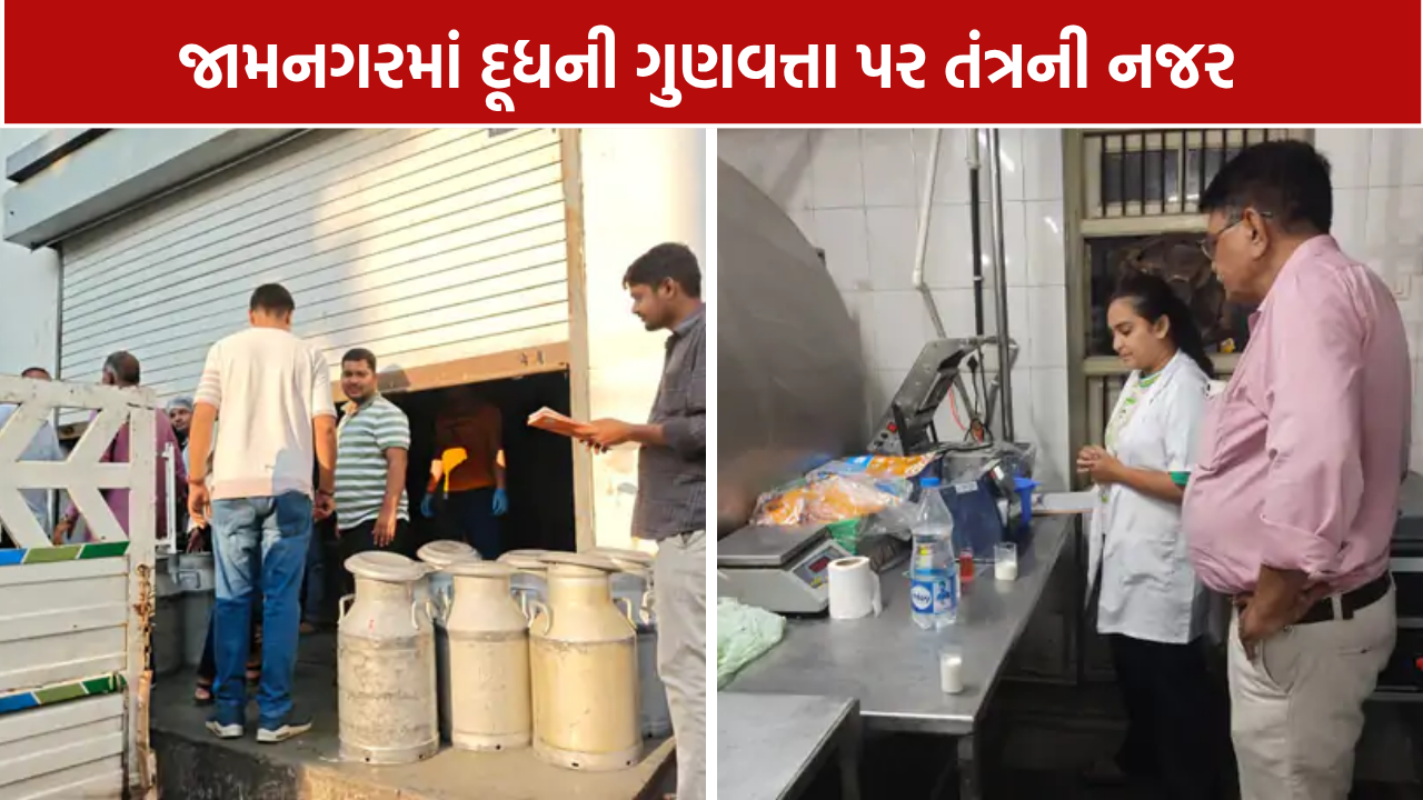 Jamnagar Milk Checking: 80 લીટર દૂધનો નાશ, 10 નમૂના લેબમાં મોકલાયા