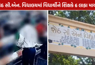 Teacher Allegedly Slaps Student: ધોરણ 9ના વિદ્યાર્થીને 6 લાફા માર્યાનો આક્ષેપ