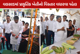 Valsad Natural Farming: ખેત ઉત્પાદનોનું વેચાણ વધારવા પહેલ, 5 કેન્દ્રોનું લોકાર્પણ