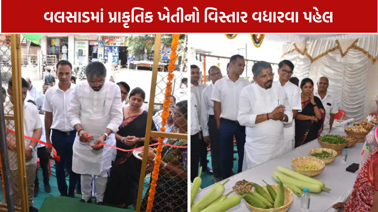Valsad Natural Farming: ખેત ઉત્પાદનોનું વેચાણ વધારવા પહેલ, 5 કેન્દ્રોનું લોકાર્પણ