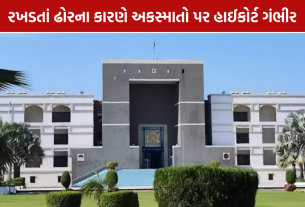 Gujarat High Court: હાઈકોર્ટે NHAIને પૂછ્યું- અકસ્માતો રોકવા શું કર્યું?