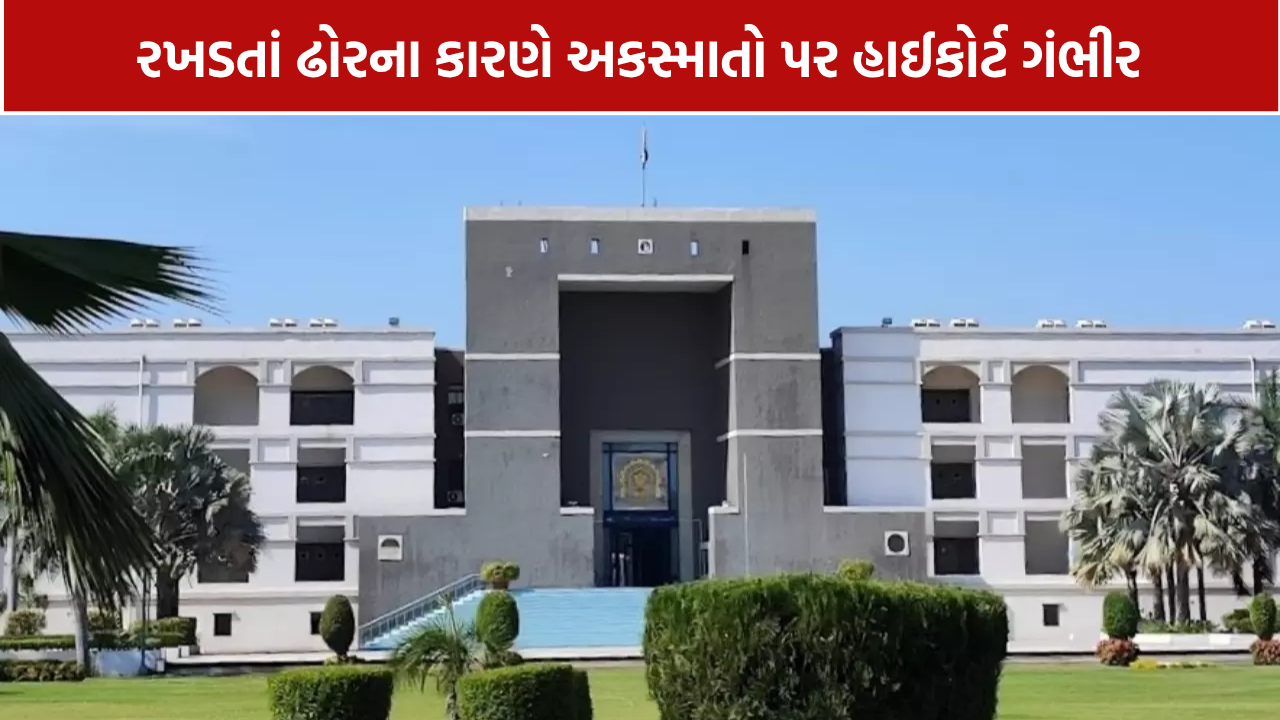Gujarat High Court: હાઈકોર્ટે NHAIને પૂછ્યું- અકસ્માતો રોકવા શું કર્યું?
