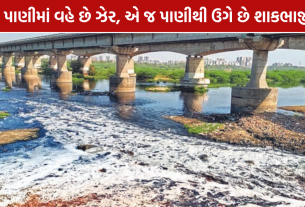 Sabarmati River Pollution: વાસણા બેરેજથી ધોળકા સુધીના વિસ્તારમાં પ્રદૂષિત પાણીના ઉપયોગ