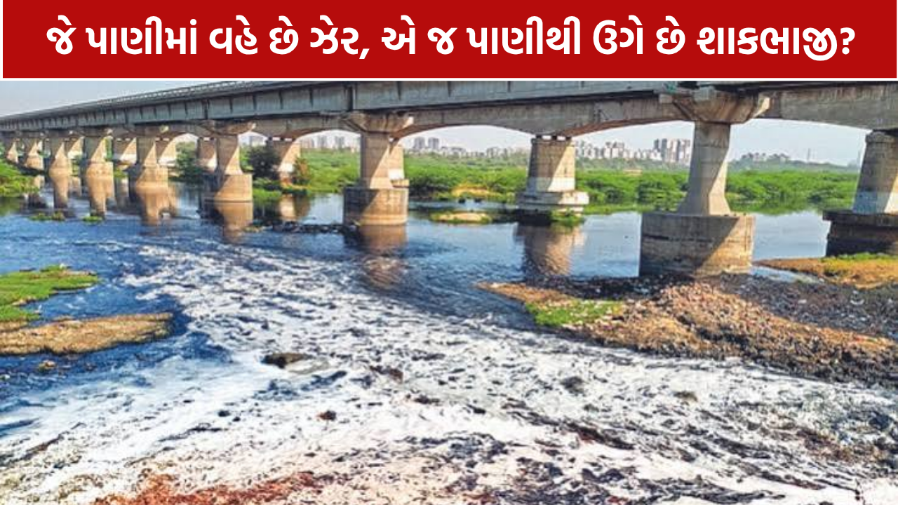 Sabarmati River Pollution: વાસણા બેરેજથી ધોળકા સુધીના વિસ્તારમાં પ્રદૂષિત પાણીના ઉપયોગ