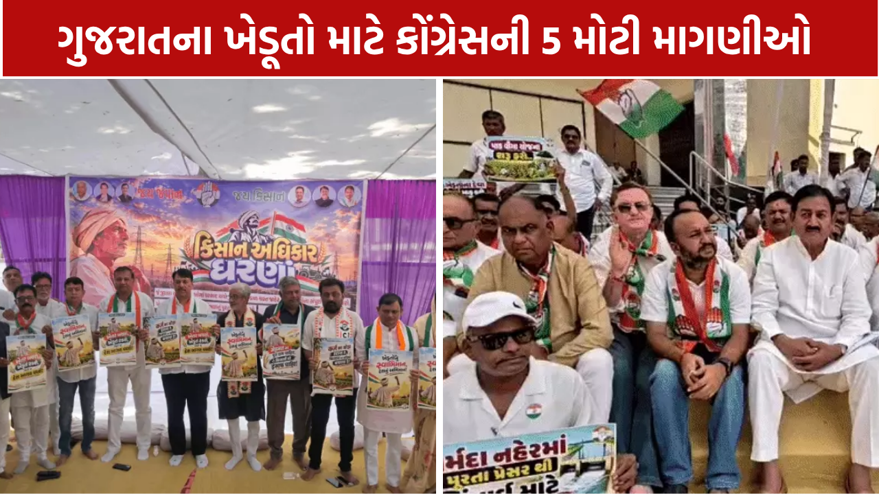 Gujarat Farmers Protest: કોંગ્રેસે સરકાર સામે 5 માગણીઓ સાથે ધરણાં યોજ્યાં