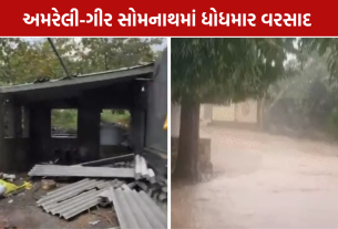 Gujarat Unseasonal Rain: આગામી દિવસોમાં તાપમાનમાં 2થી 3 ડિગ્રીનો ઘટાડો
