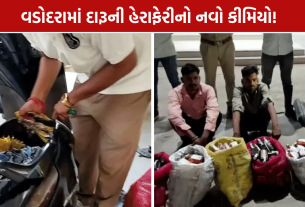 Vadodara Liquor: એક્ટિવામાંથી 455 દારૂની બોટલ ઝડપાઈ, બે આરોપીની ધરપકડ