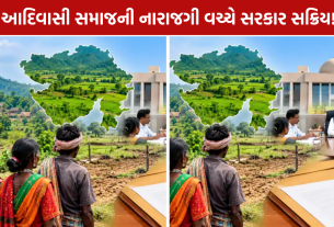 Tribal Land Issues Gujarat: સાથણી જમીનના દબાણ અને કબજા મુદ્દે નવી SOP લાવવાની તૈયારી