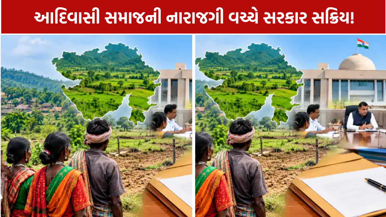 Tribal Land Issues Gujarat: સાથણી જમીનના દબાણ અને કબજા મુદ્દે નવી SOP લાવવાની તૈયારી