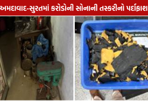 DRI Gold Smuggling Case: ગુજરાતમાં ₹19.41 કરોડનું વિદેશી સોનું ઝડપાયું