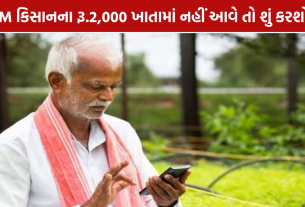 PM Kisan 24th Installment: ₹2,000 ન મળે તો તરત કરો આ 5 કામ, અહીં જાણો સંપૂર્ણ રીત