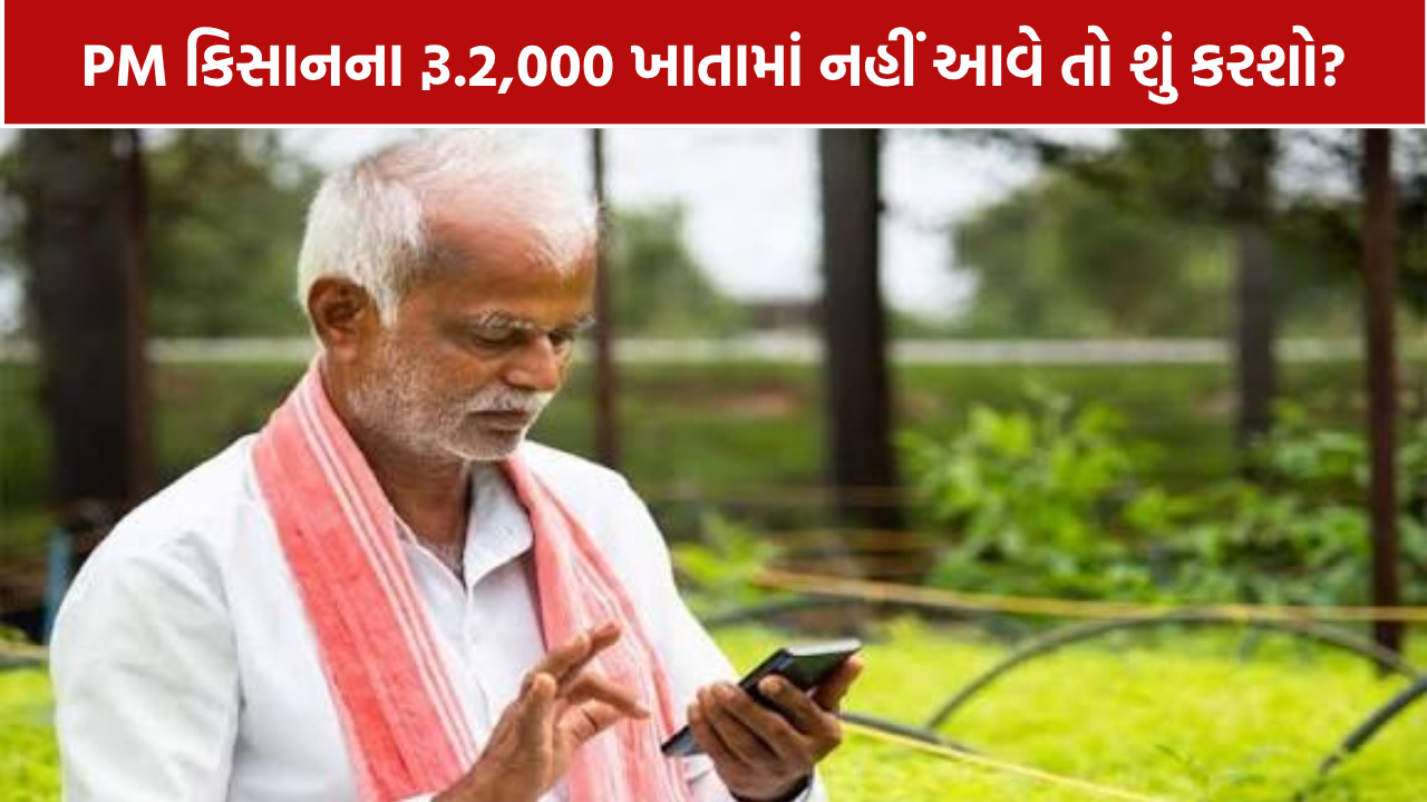 PM Kisan 24th Installment: ₹2,000 ન મળે તો તરત કરો આ 5 કામ, અહીં જાણો સંપૂર્ણ રીત