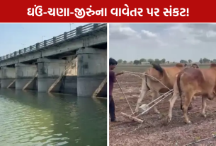 Botad Dam Water Level: બોટાદના 9 ડેમમાં માત્ર 30% પાણી
