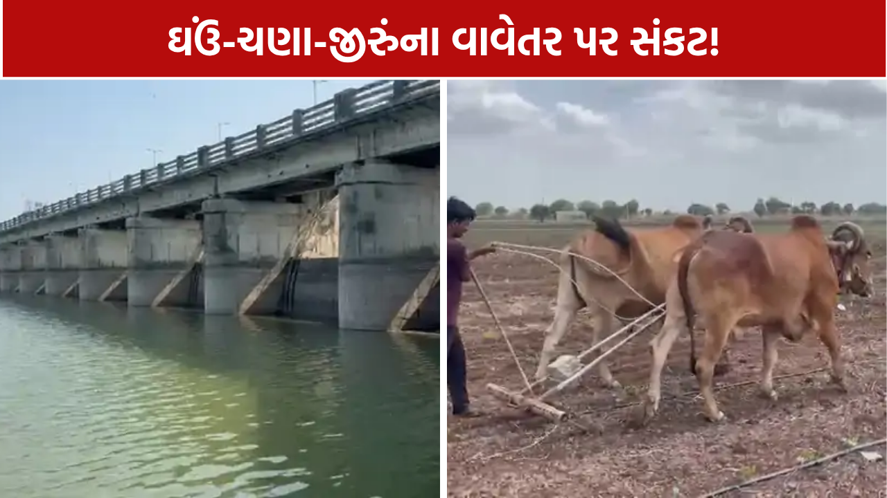 Botad Dam Water Level: બોટાદના 9 ડેમમાં માત્ર 30% પાણી