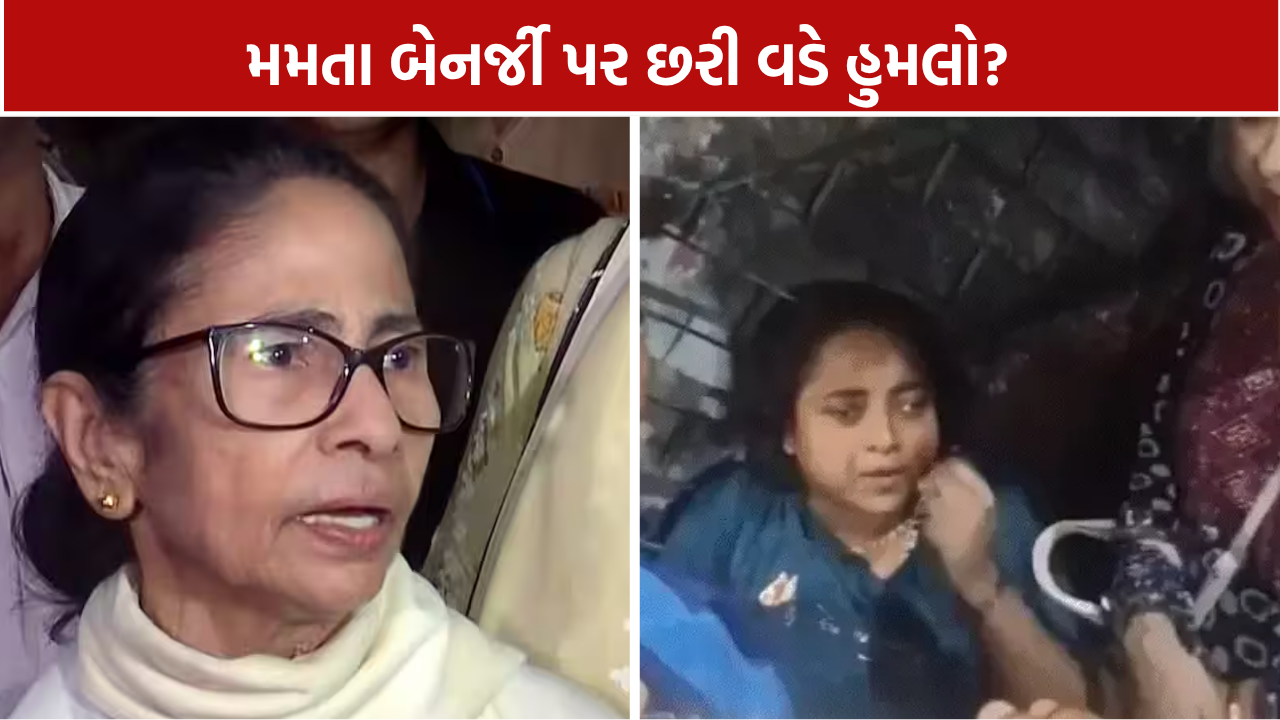Mamata Banerjee Attack Claim: કાલીઘાટમાં પૂજાના ઉદ્ઘાટન દરમિયાન હોબાળો