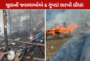 Surat Fire: ચૂલાની જ્વાળાઓએ 6 ઝૂંપડાં ભરખી લીધાં!