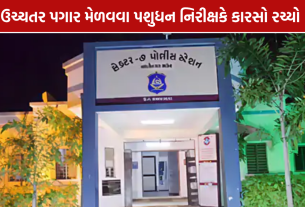 Fake CCC Certificate: સેક્ટર-7 પોલીસ સ્ટેશનમાં ફરિયાદ