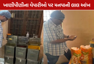 Rajkot Food Raid: મનપાના 93 સ્થળે દરોડા, 115 કિલો અખાદ્ય જથ્થાનો નાશ