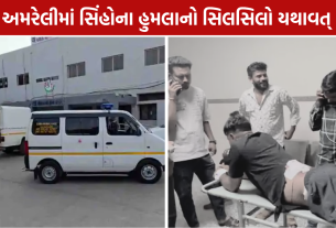 Bagasara Lion Attack: સિંહનો ટ્રેકર પર હુમલો, 18 દિવસમાં 8મી ઘટના