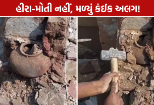 Viral Treasure Video: ખોલતાં જ ખજાનાની આશા રાખનારાઓ ચોંકી ગયા