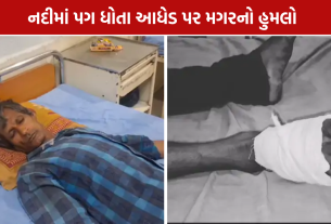 Maliya Crocodile Attack: મહાદેવ મંદિર નજીક આધેડ ઈજાગ્રસ્ત, વનવિભાગ પાસે માગ