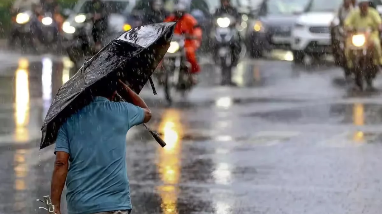 Gujarat Rain Shortage: વરસાદની 10% ઘટ, 206માંથી માત્ર 33 ડેમ ભરાયા; આગામી ઉનાળાને લઈને ચિંતા