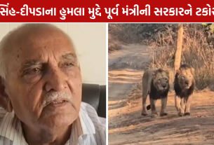 Lion Attack Gujarat: સિંહ-દીપડાના હુમલા મુદ્દે પૂર્વ મંત્રીની સરકારને ટકોર, ₹1 કરોડ વળતરની માંગ