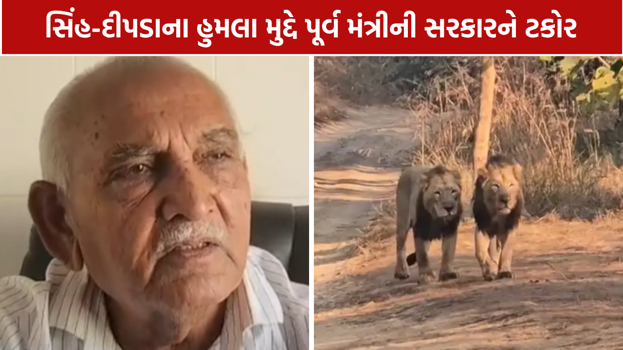 સિંહ-દીપડા હુમલા મુદ્દે પૂર્વ મંત્રીની સરકારને ટકોર, ₹1 કરોડ વળતરની માંગ