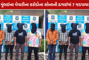 Vadodara Gold Robbery: ₹8.28 કરોડની લૂંટમાં 7 ઝડપાયા