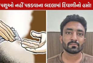 Bribe Case Gandhinagar: ગાંધીનગર મનપાનો કર્મચારી ₹22 હજાર સાથે ઝડપાયો