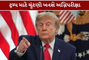 અમેરિકાના પ્રમુખ ડોનાલ્ડ ટ્રમ્પે (Donald Trump)મતદાનમાં ગેરરીતિ એટલે કે વોટર ફ્રોડ (Voter Fraud)ના પુરાવા રજૂ કરનારને 10 લાખ ડોલર, એટલે કે આશરે 9 કરોડ રૂપિયાનું ઈનામ આપવાની જાહેરાત કરી હોવાનો દાવો કર્યો છે